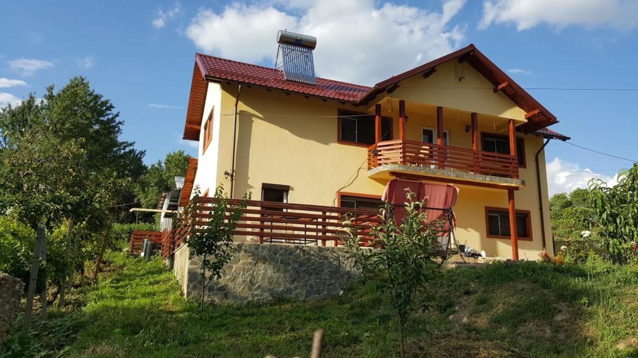 Дома для отпуска Casa Bunicului Gura Vadului-18