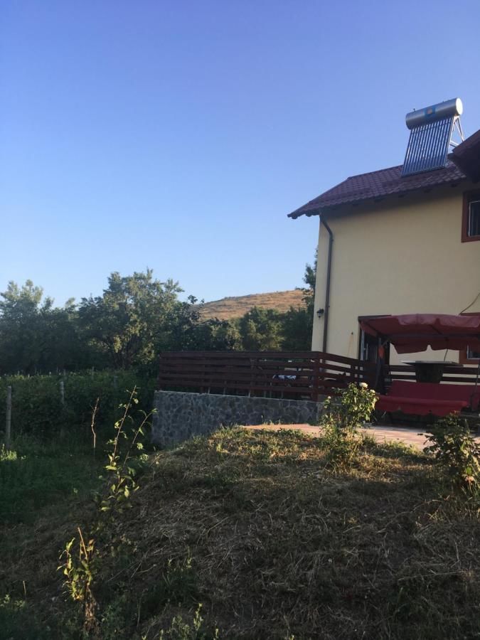 Дома для отпуска Casa Bunicului Gura Vadului-21